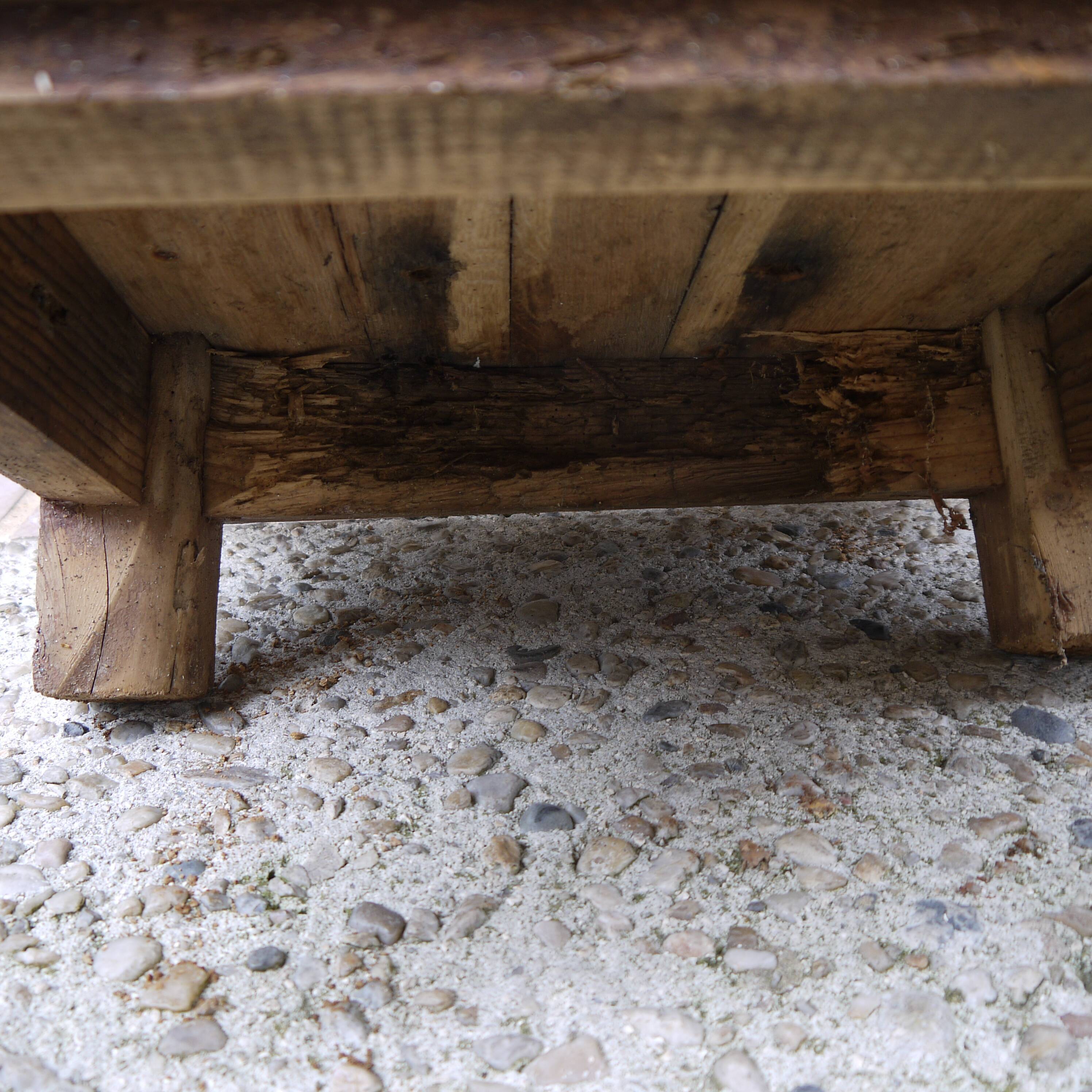 Wooden harness establishment