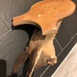 Chamois head