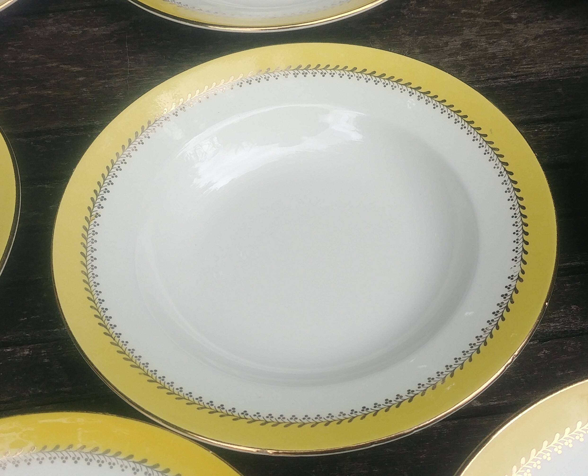 Set of thirteen old porcelain soup plates signed "Biarritz"