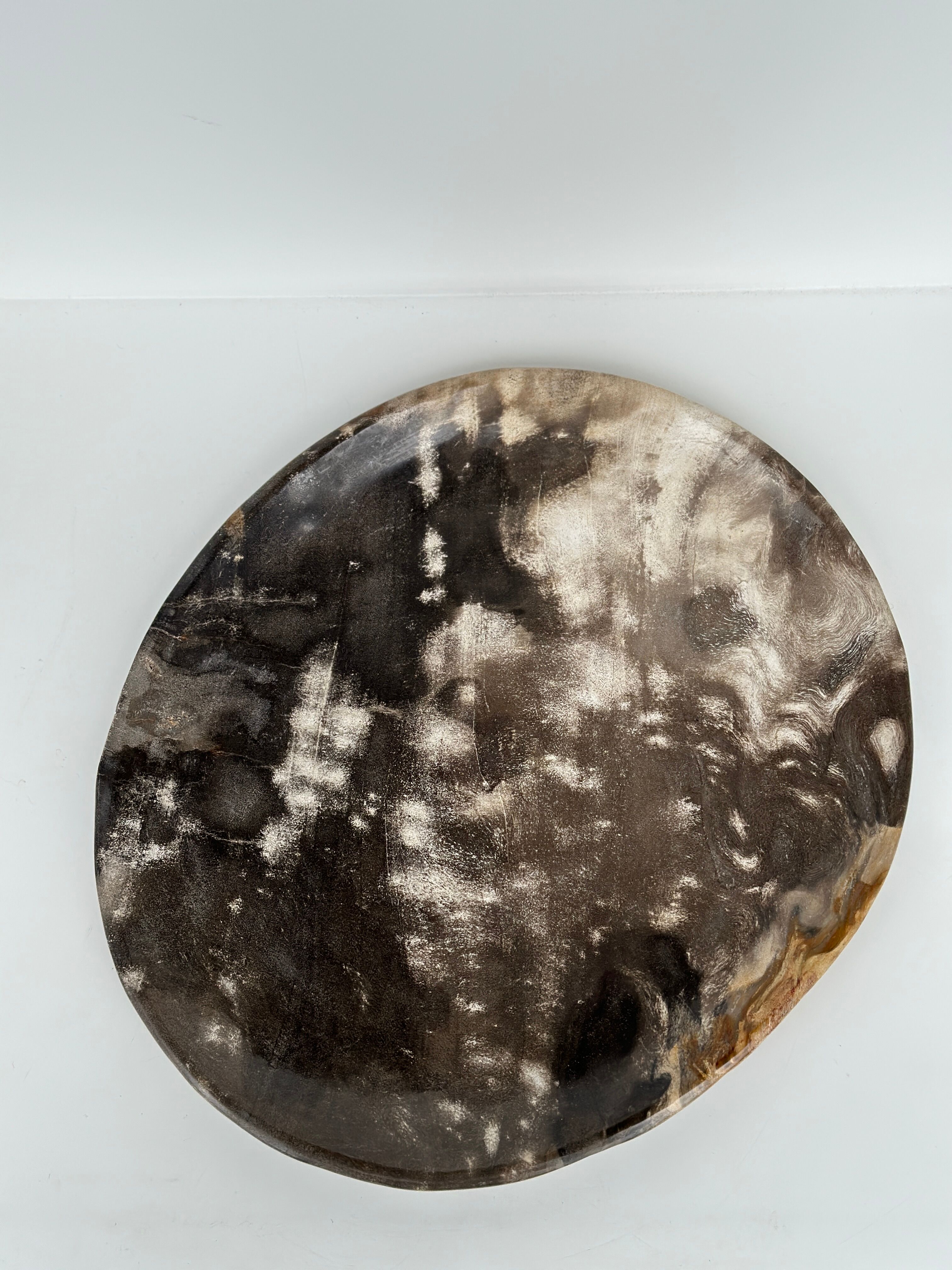 Dish in petrified wood