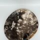 Dish in petrified wood