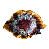 Coupe à fruits en forme coquillage