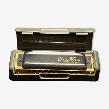 Metal and gold harmonica in its original box.