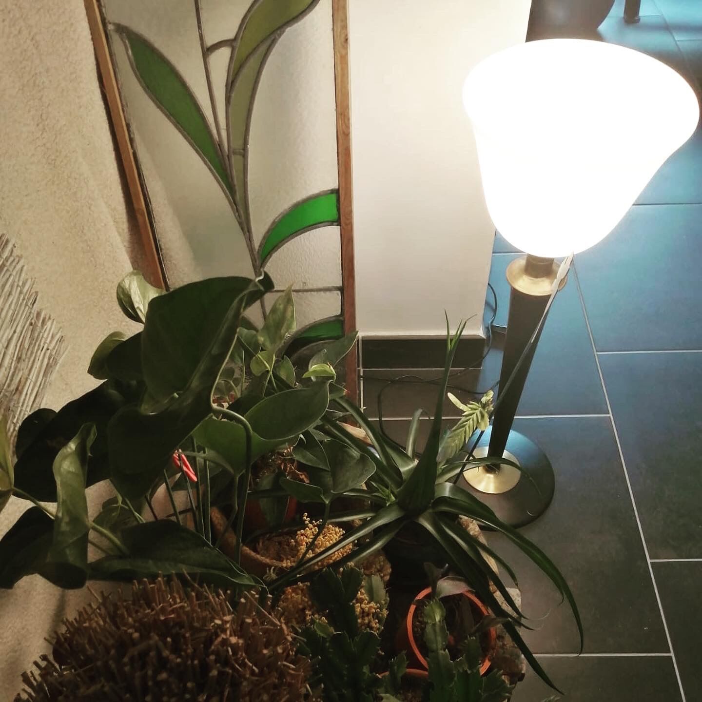 Mazda Lamp