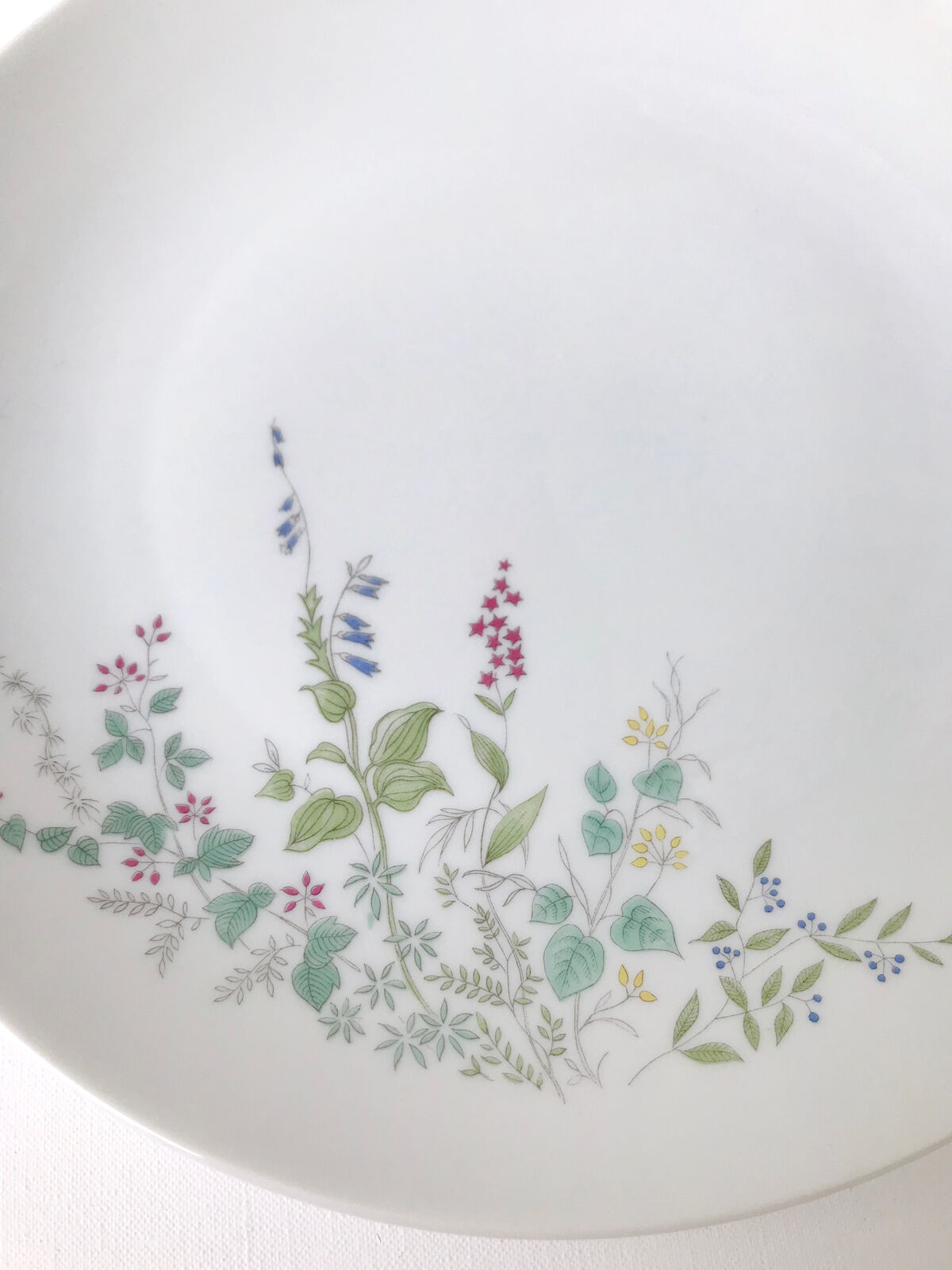 Set of 8 large vintage porcelain plates