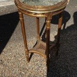 Golden louis xvi harness