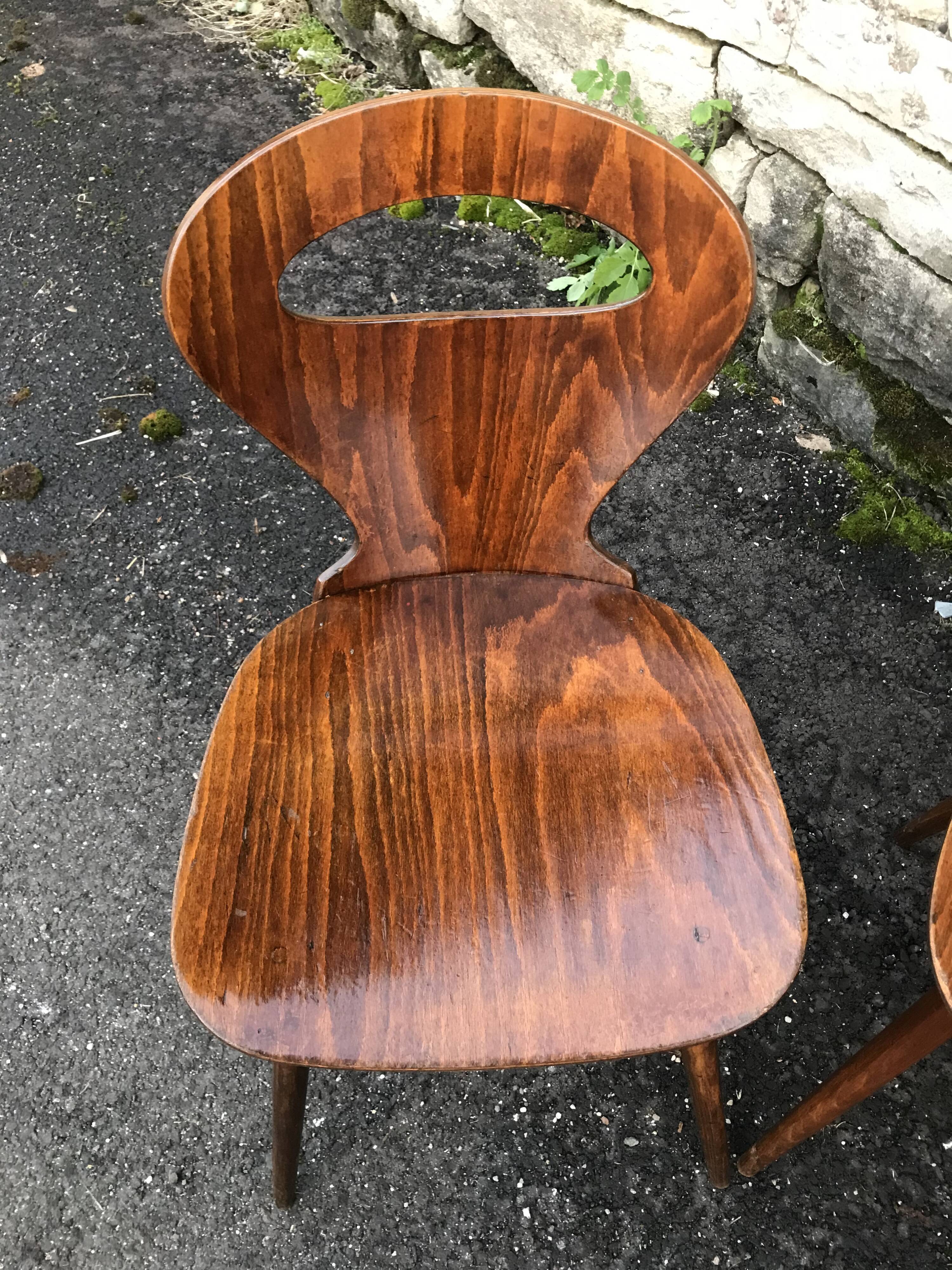 Chairs "ant" Baumann