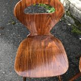 Chairs "ant" Baumann