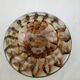 Jar covered with Murano glass in the 50s
