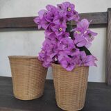 Wicker pot cache duo
