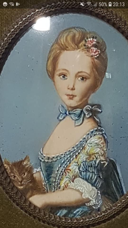 Rectangular frame in gilded wood, green velvet background with domed plastic glass