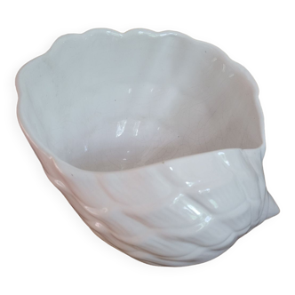 Shell pot holder