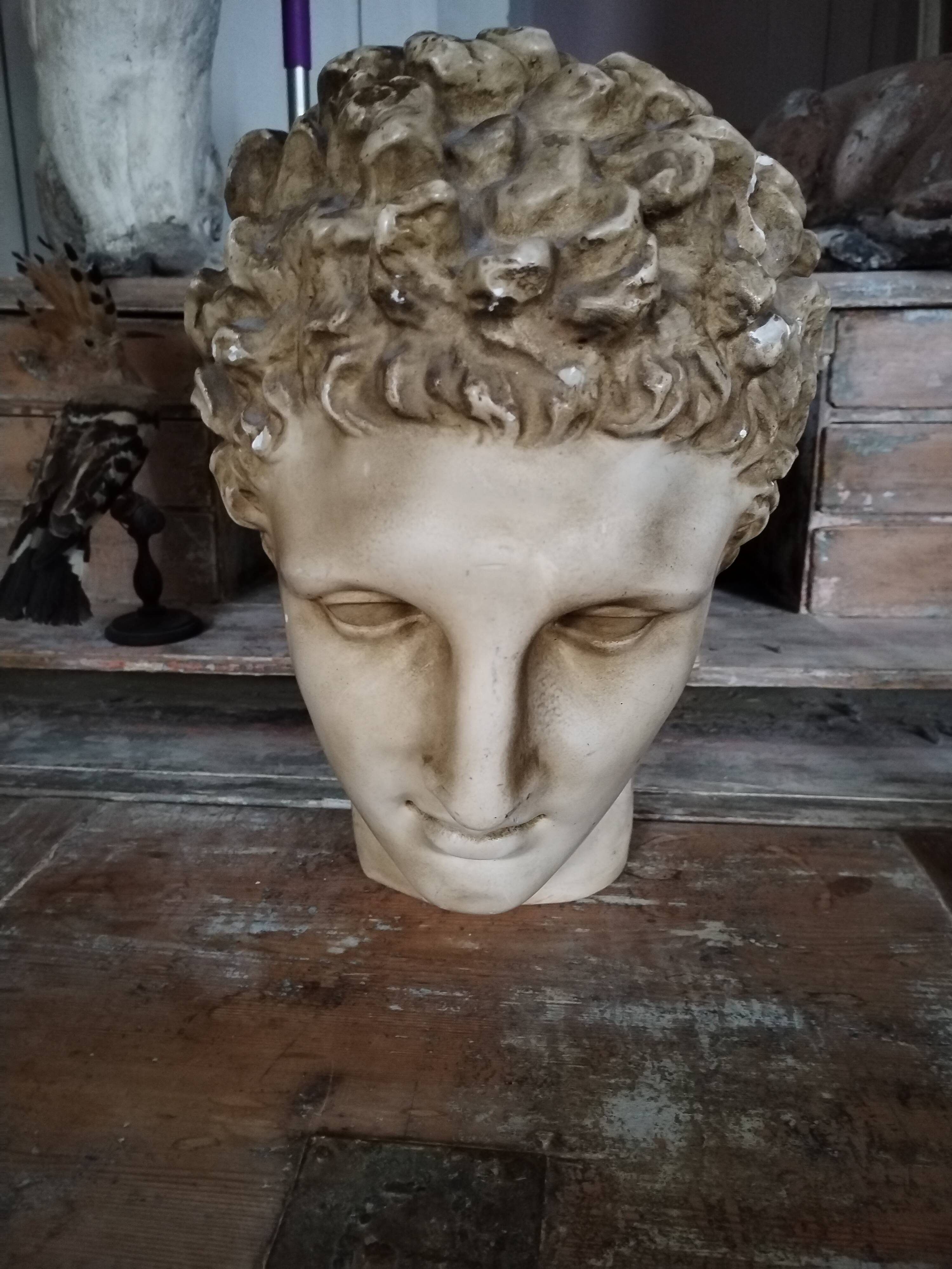 Antique plaster head of a man early 20th century