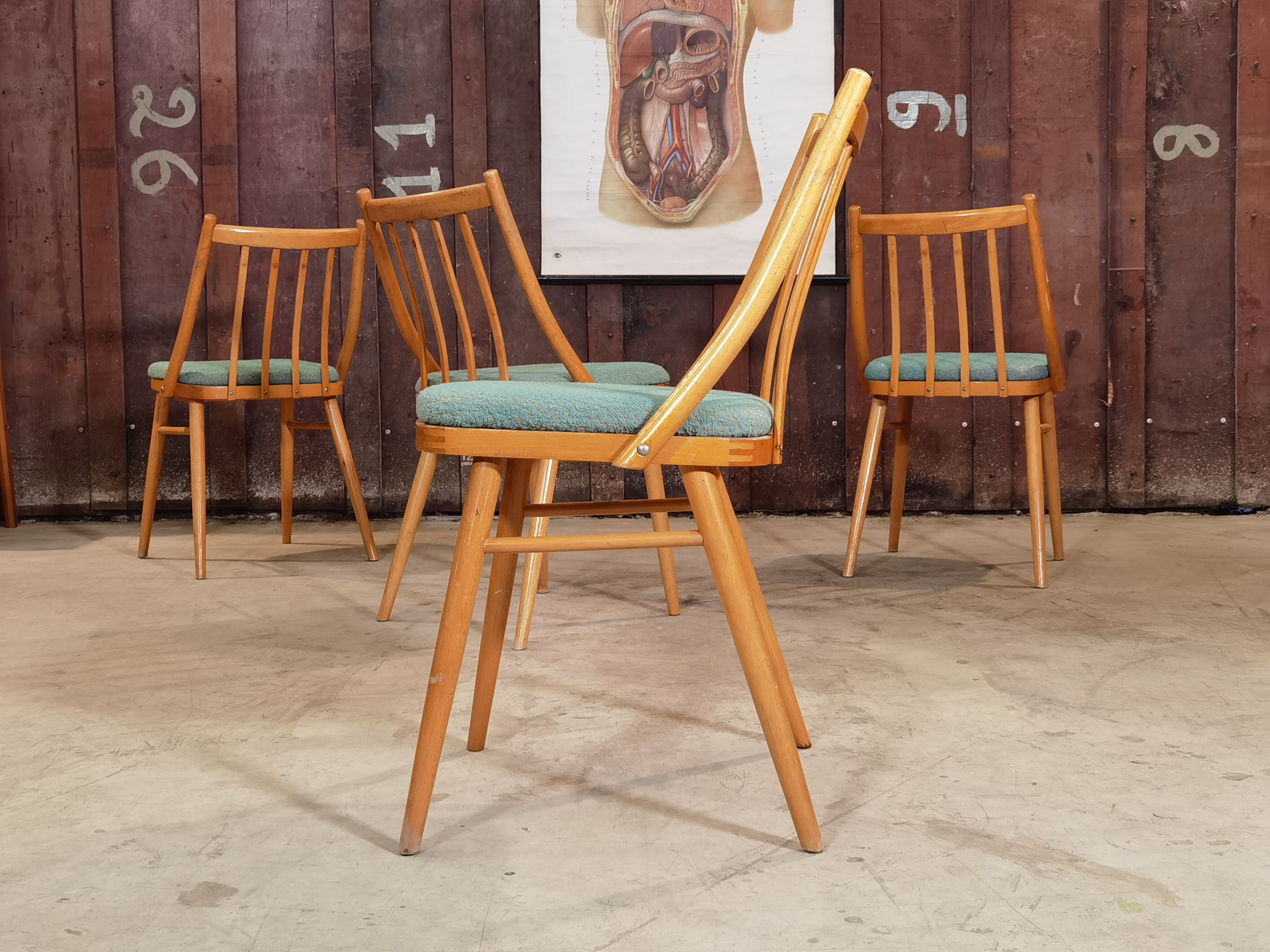 Lot of 4 chairs Antonin Suman