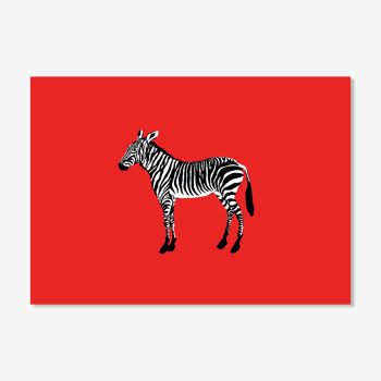 The Zebra