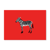 The Zebra