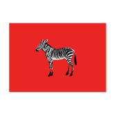 Le zèbre