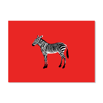 The Zebra