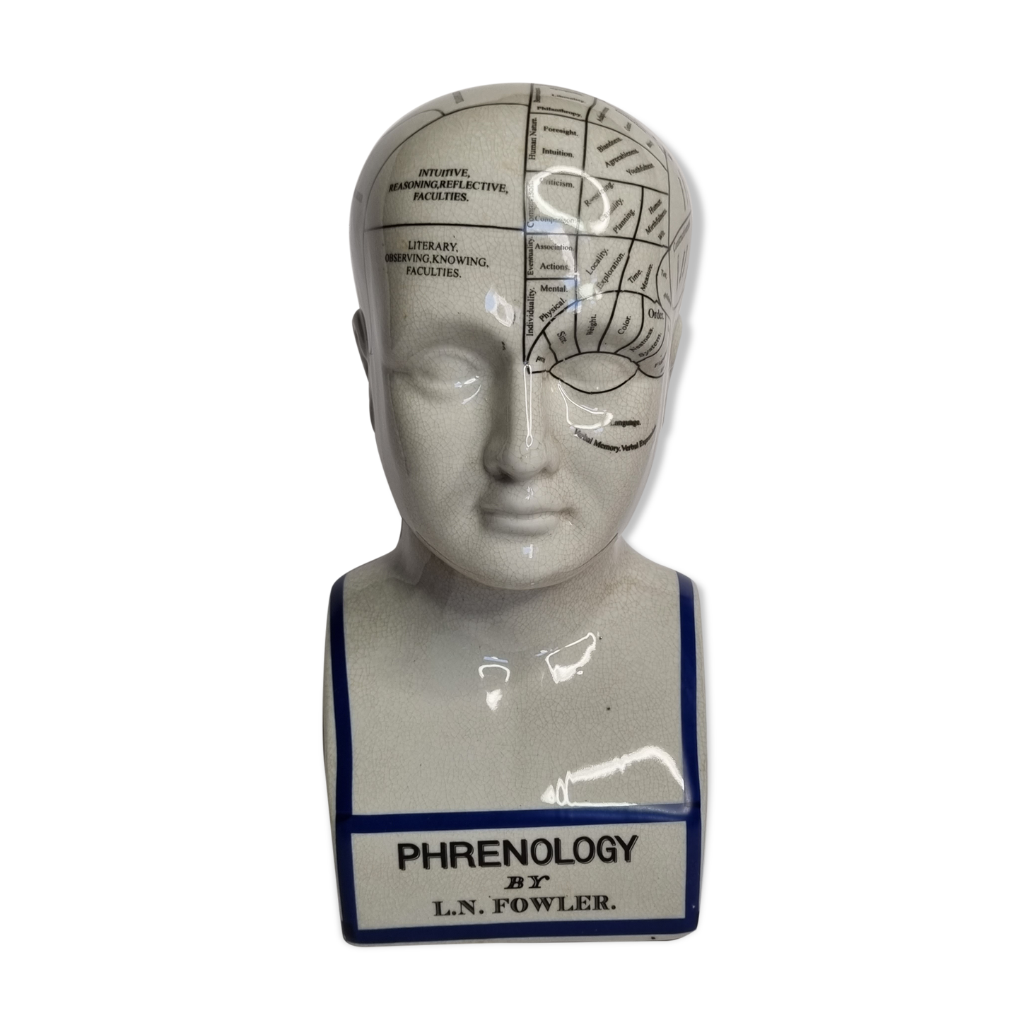 Phrenology bust after d'après L.N. Fowler