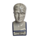 Phrenology bust after d'après L.N. Fowler