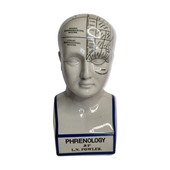 Phrenology bust after d'après L.N. Fowler