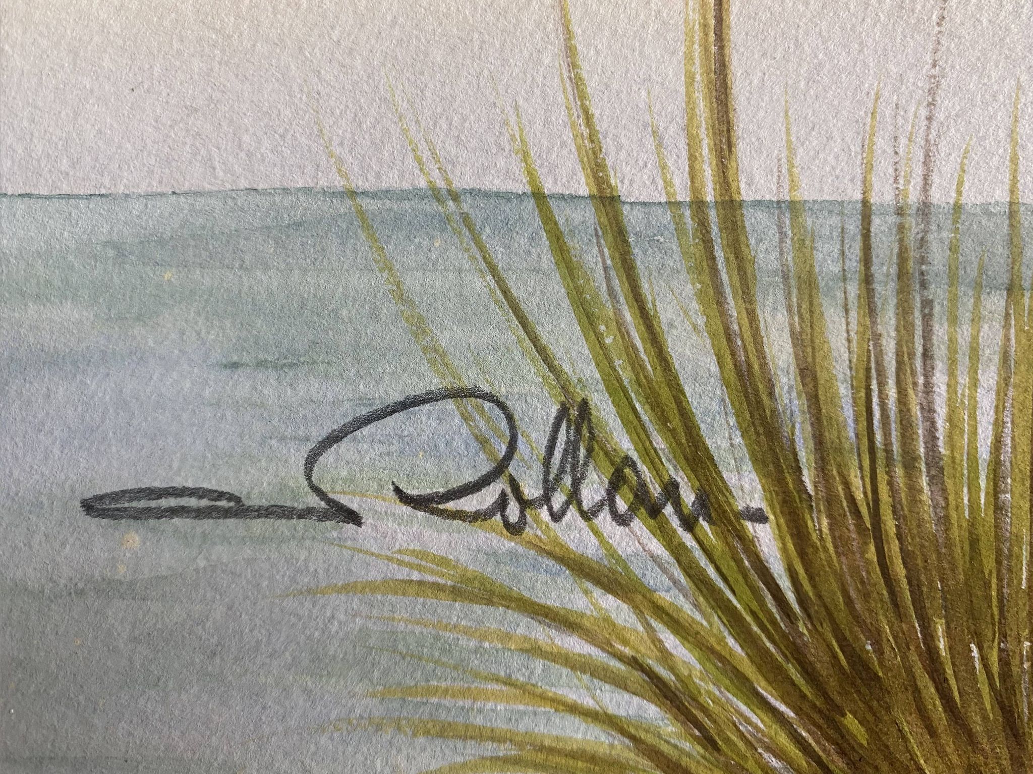 Tableau "Le Martin pêcheur" gouache naturaliste signé