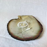 Mother-of-pearl shell