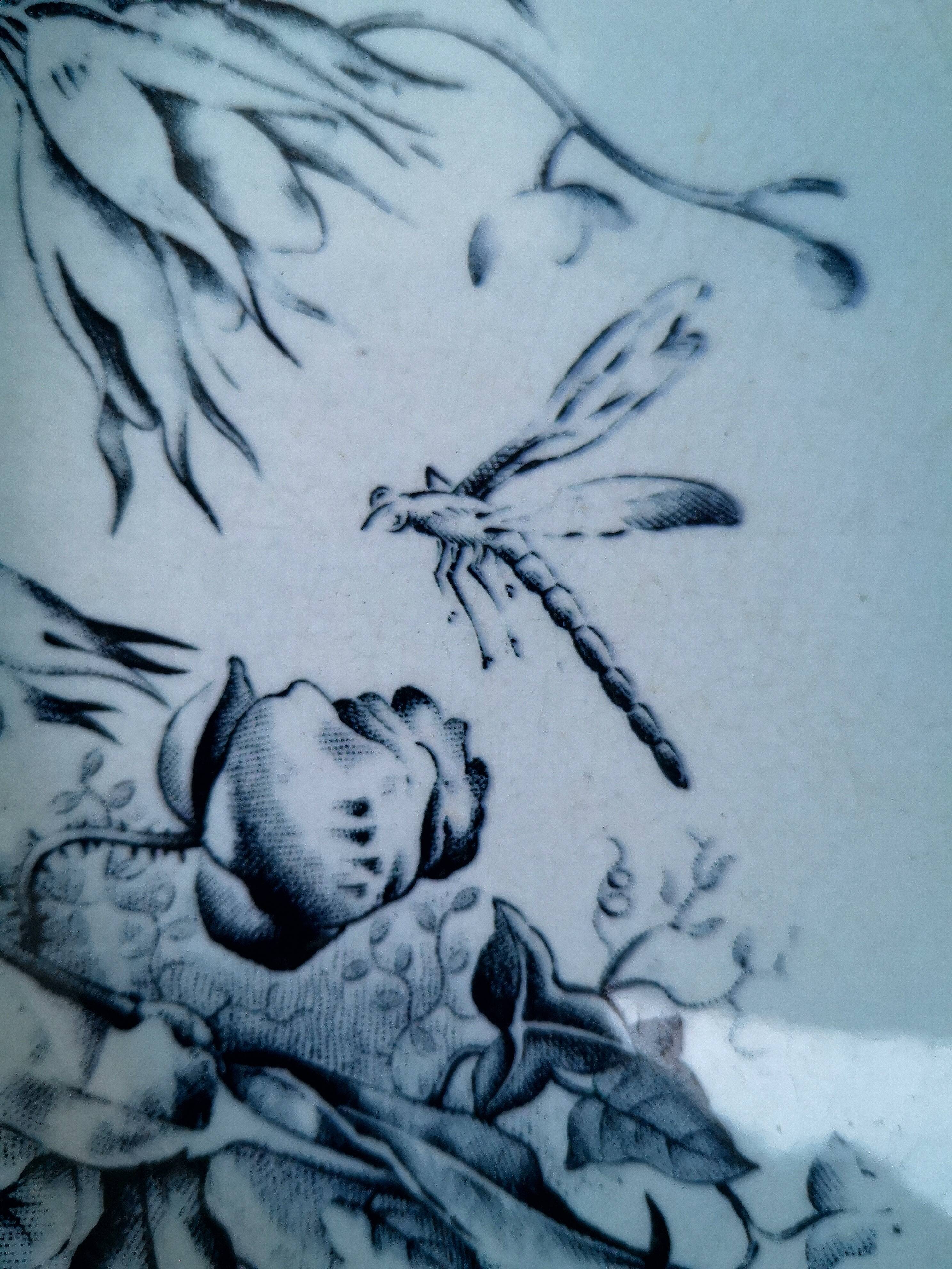 Very rare old ironstone plate