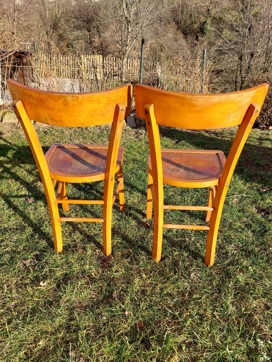 Baumann style bistro chairs