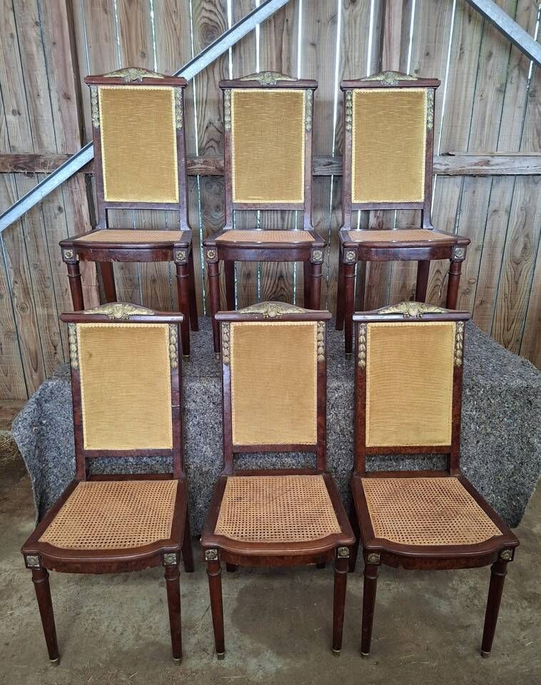 Set of 6 Empire dining chairs – Mahogany, gilded bronze (ombp)