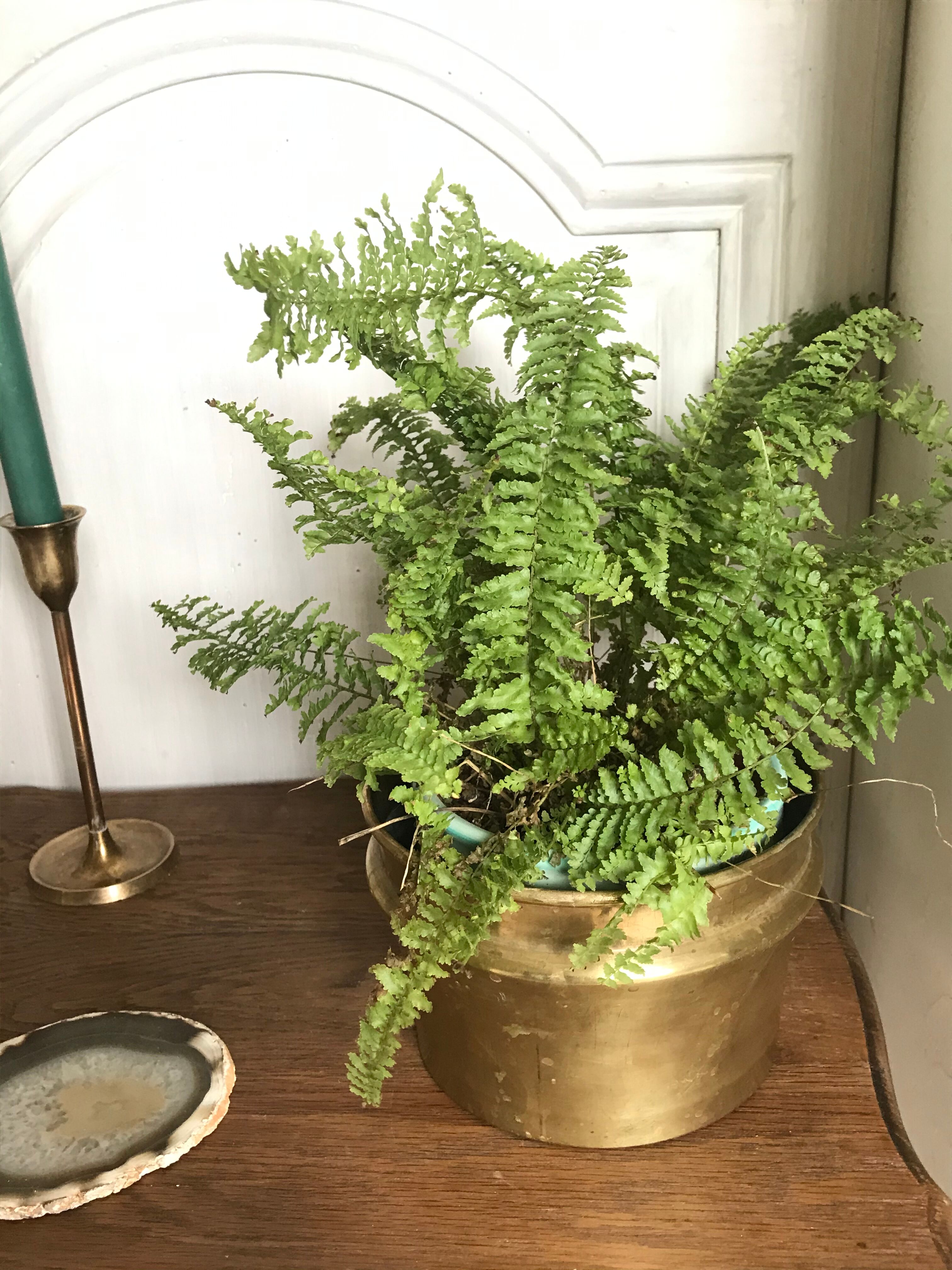 Vintage brass pot cover
