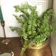 Cache-pot en laiton vintage