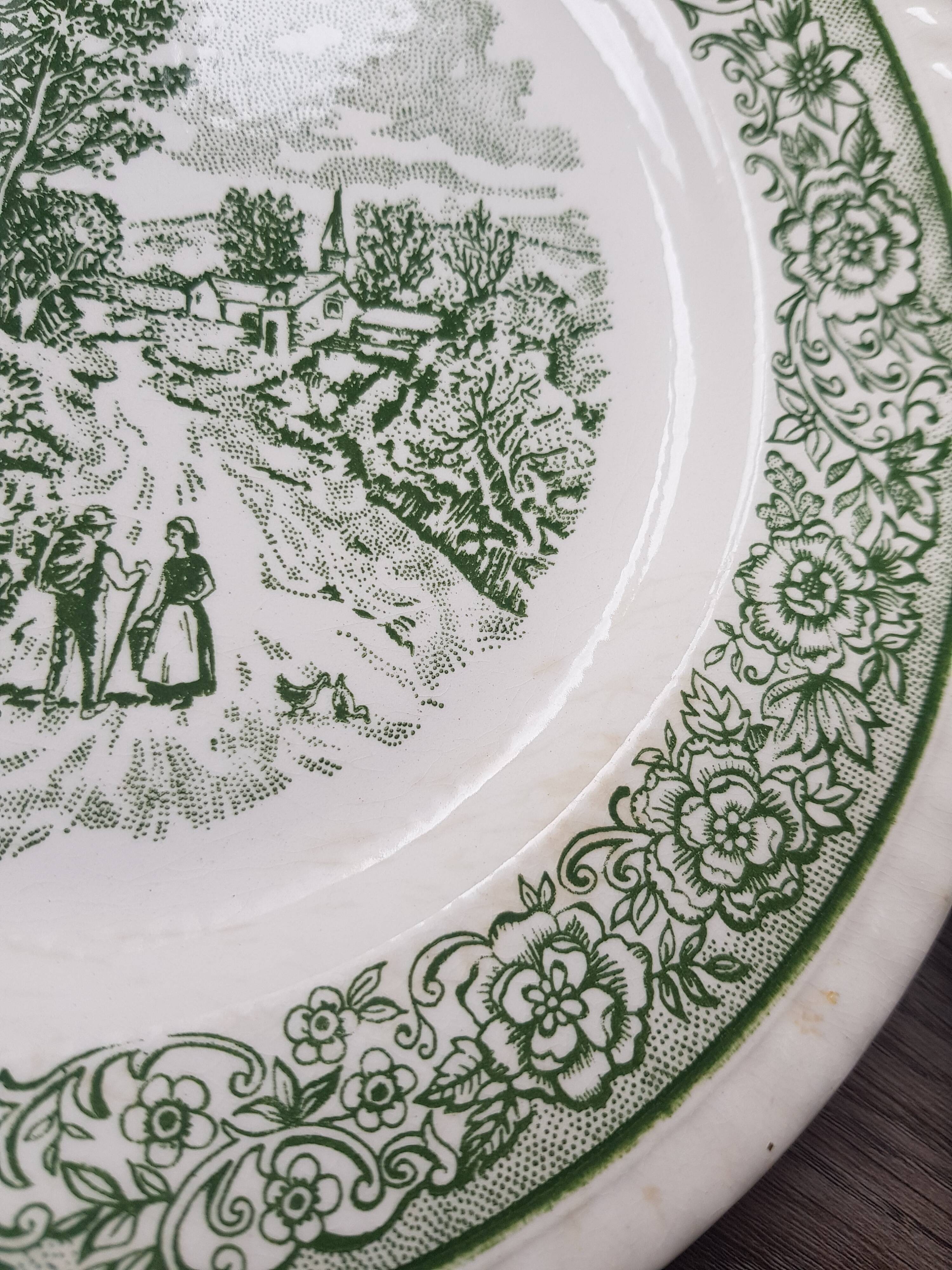 Lot de 4 assiettes plates vertes et bleues