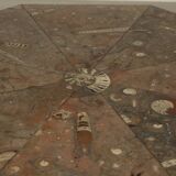 Fossil Stone Pedestal Coffee Table, France, 1970's