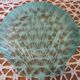 Set of 8 green glass shell plates +1 small