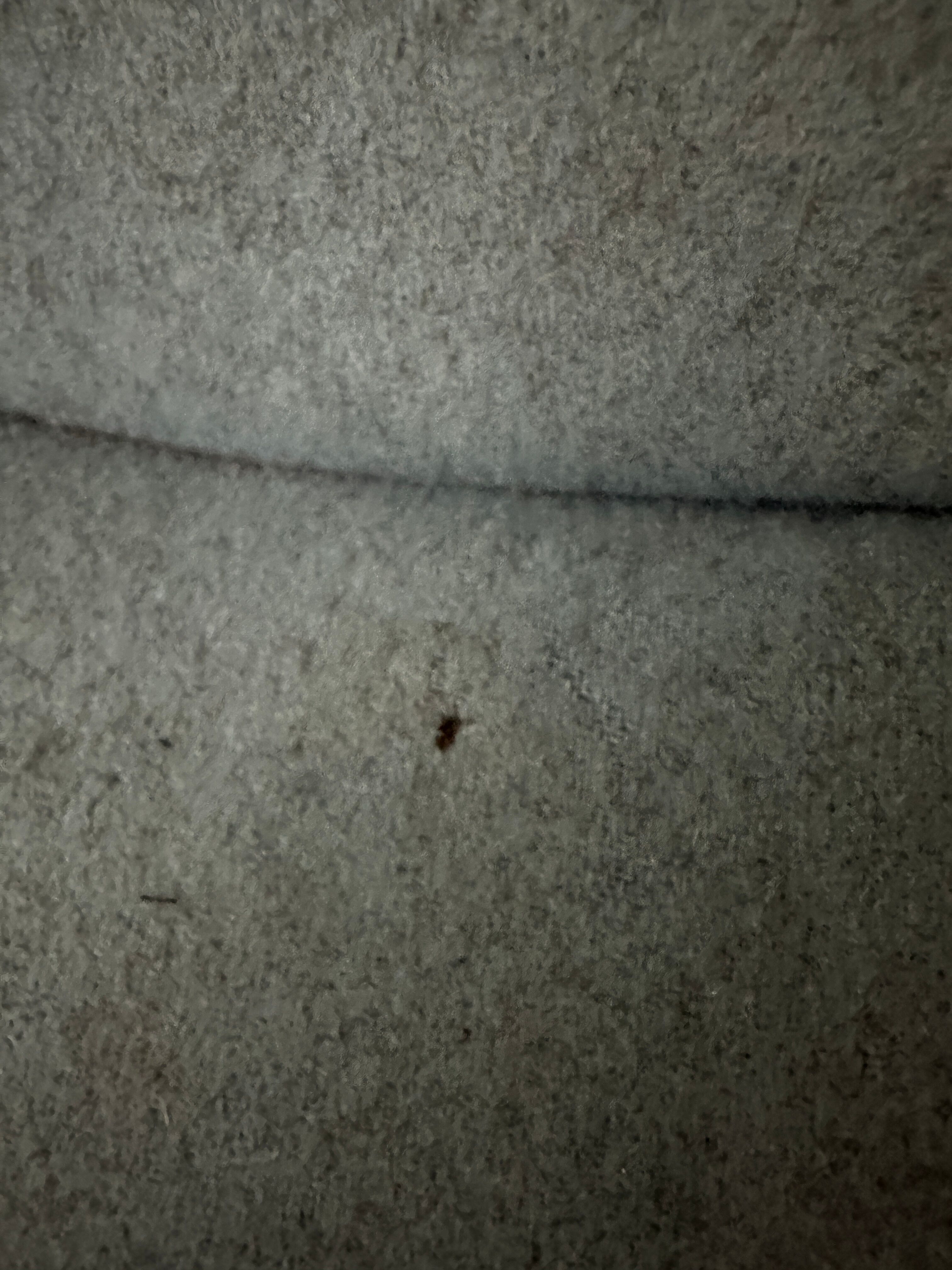 3 Seater Sofa "Pumpkin" by Paulin