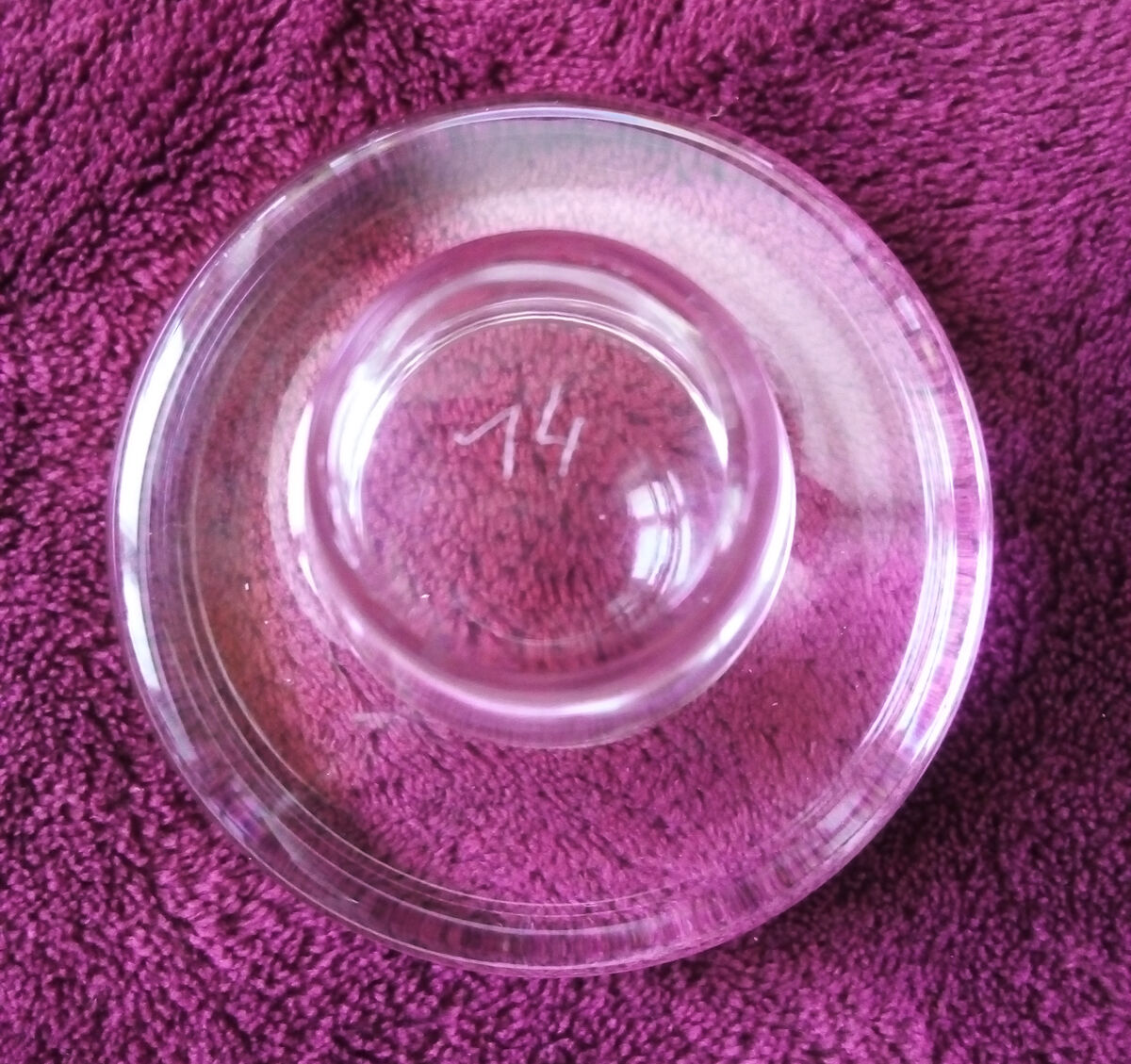 Sevres crystal whiskey decanter