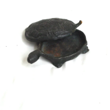 Cast iron turtle box