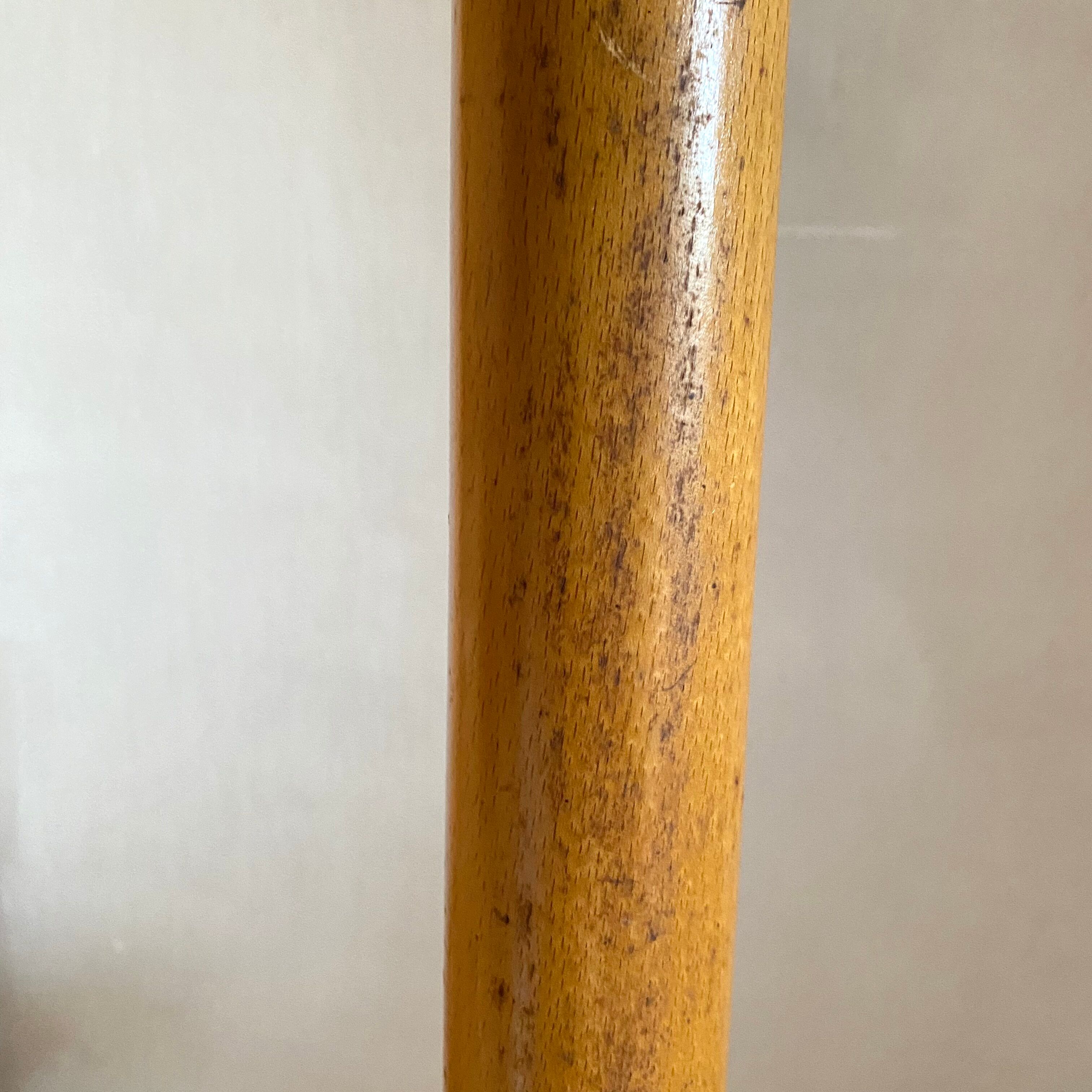 Vintage parrot coat rack