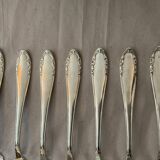 Box 24 cutlery fish .silver metal