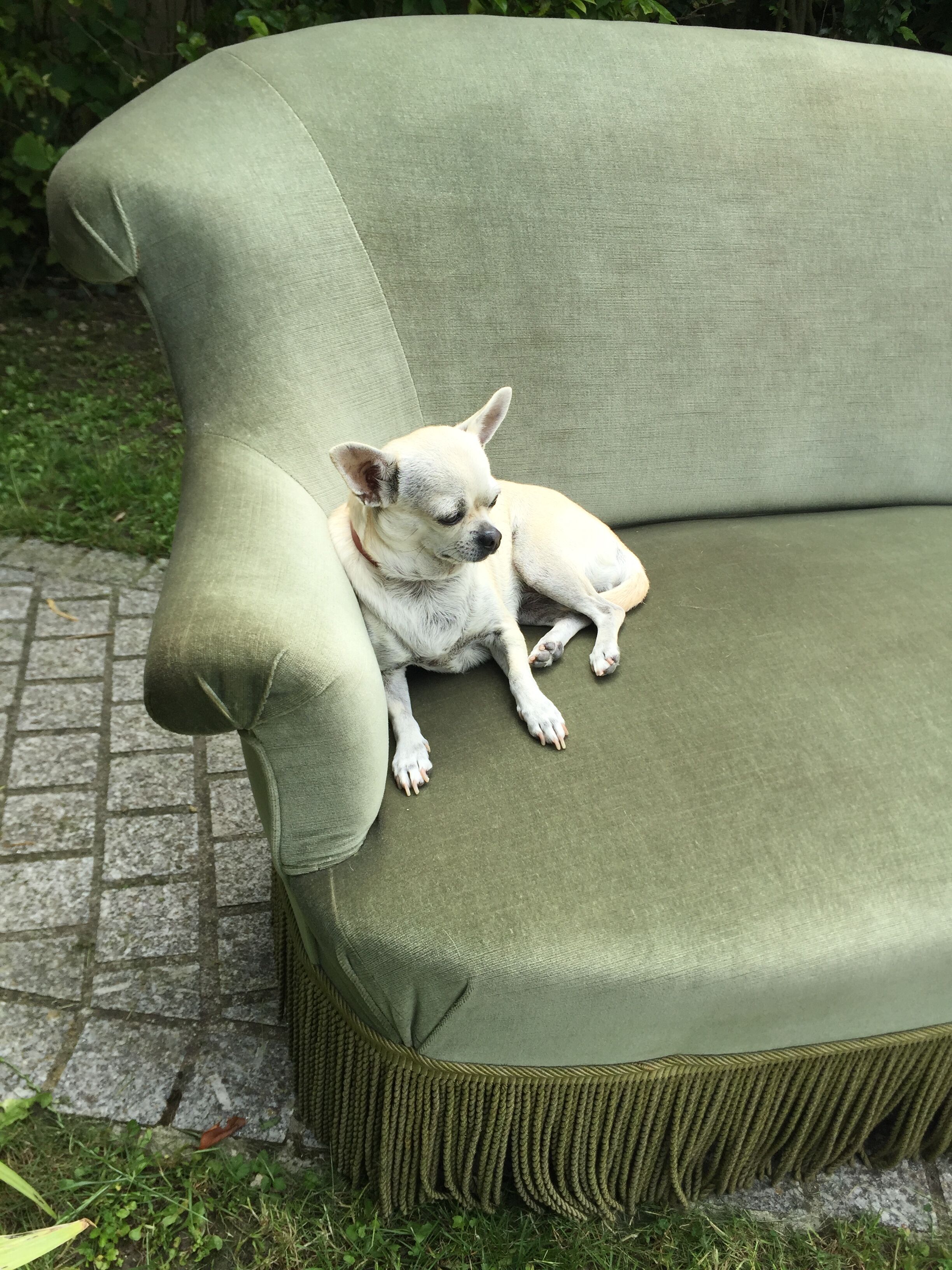 Vintage green velvet toad sofa  1970