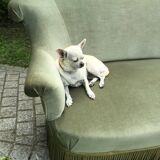 Vintage green velvet toad sofa  1970