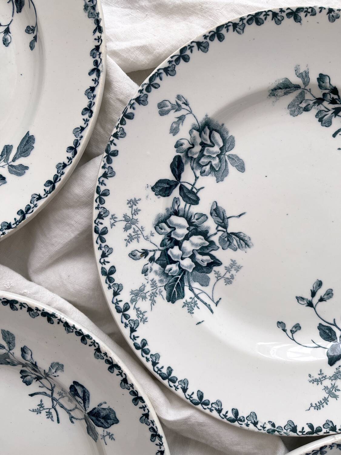 10 assiettes plates en terre de fer « Acacia » Moulin des Loups et Hamage