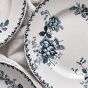 10 flat plates in iron earth “Acacia” Moulin des Loups and Hamage