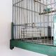 Old bird cage