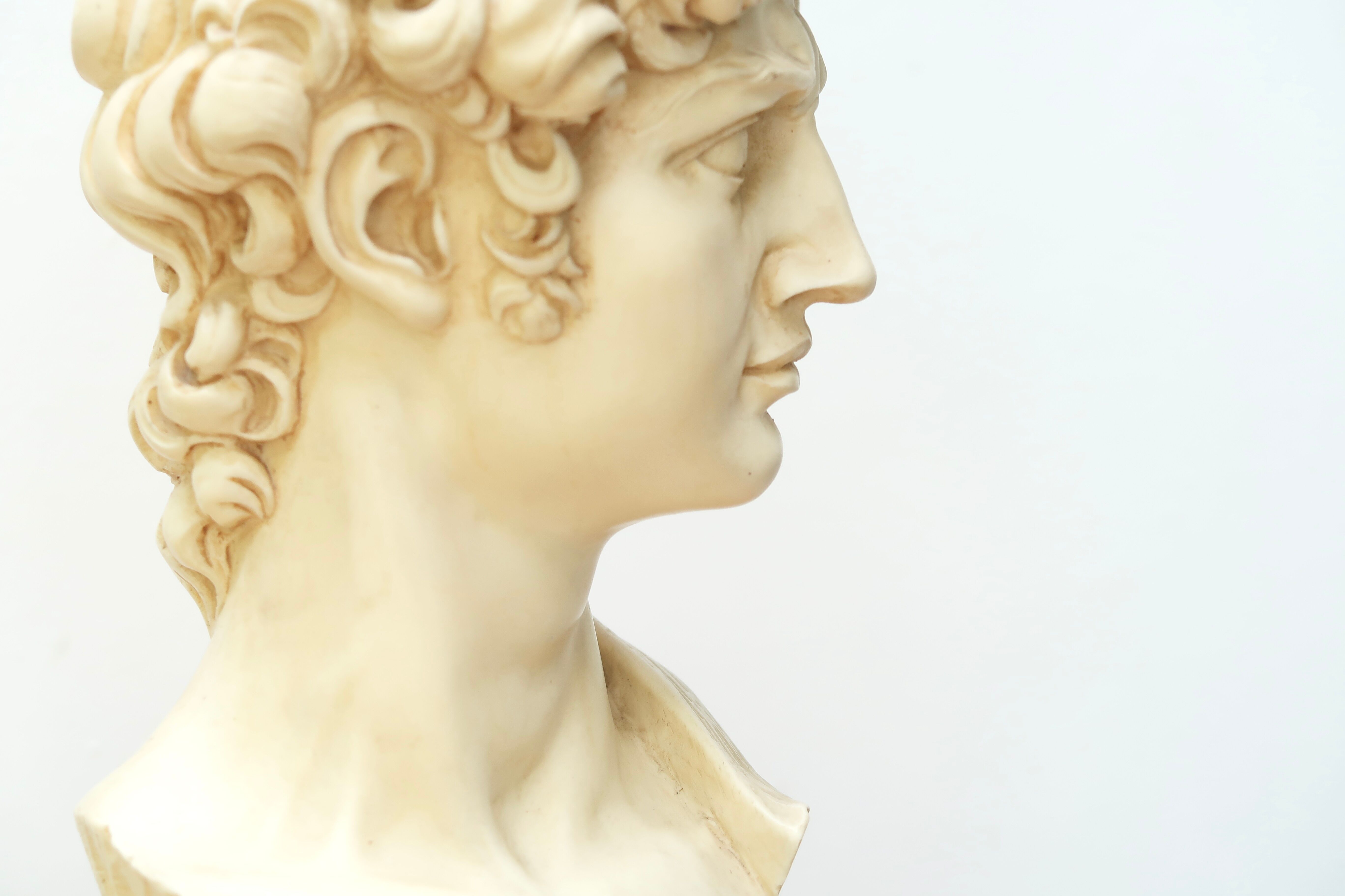 Bust of David by Michelangelo, 50s