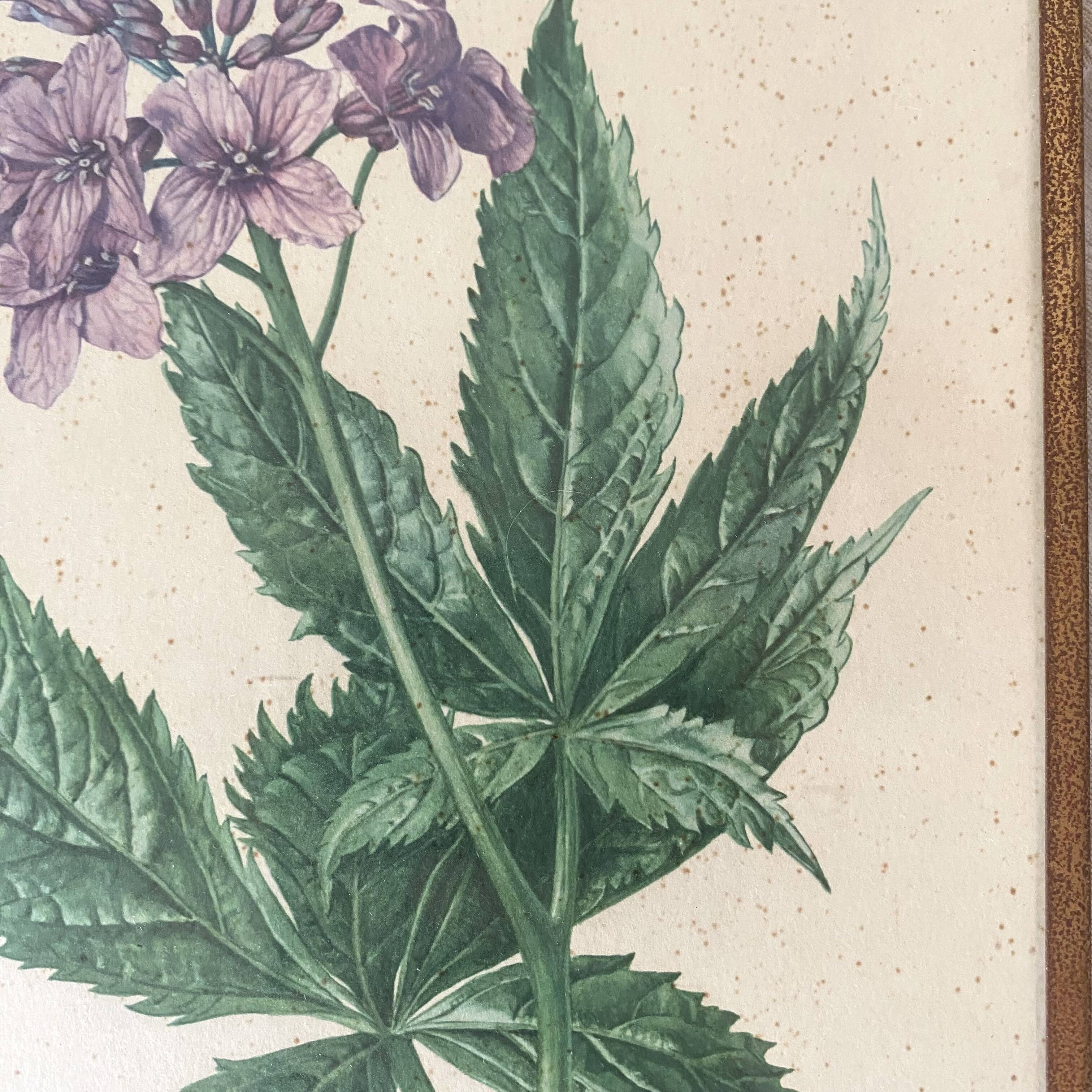 Botanical posters, flower and lemon lithographs, metal frame