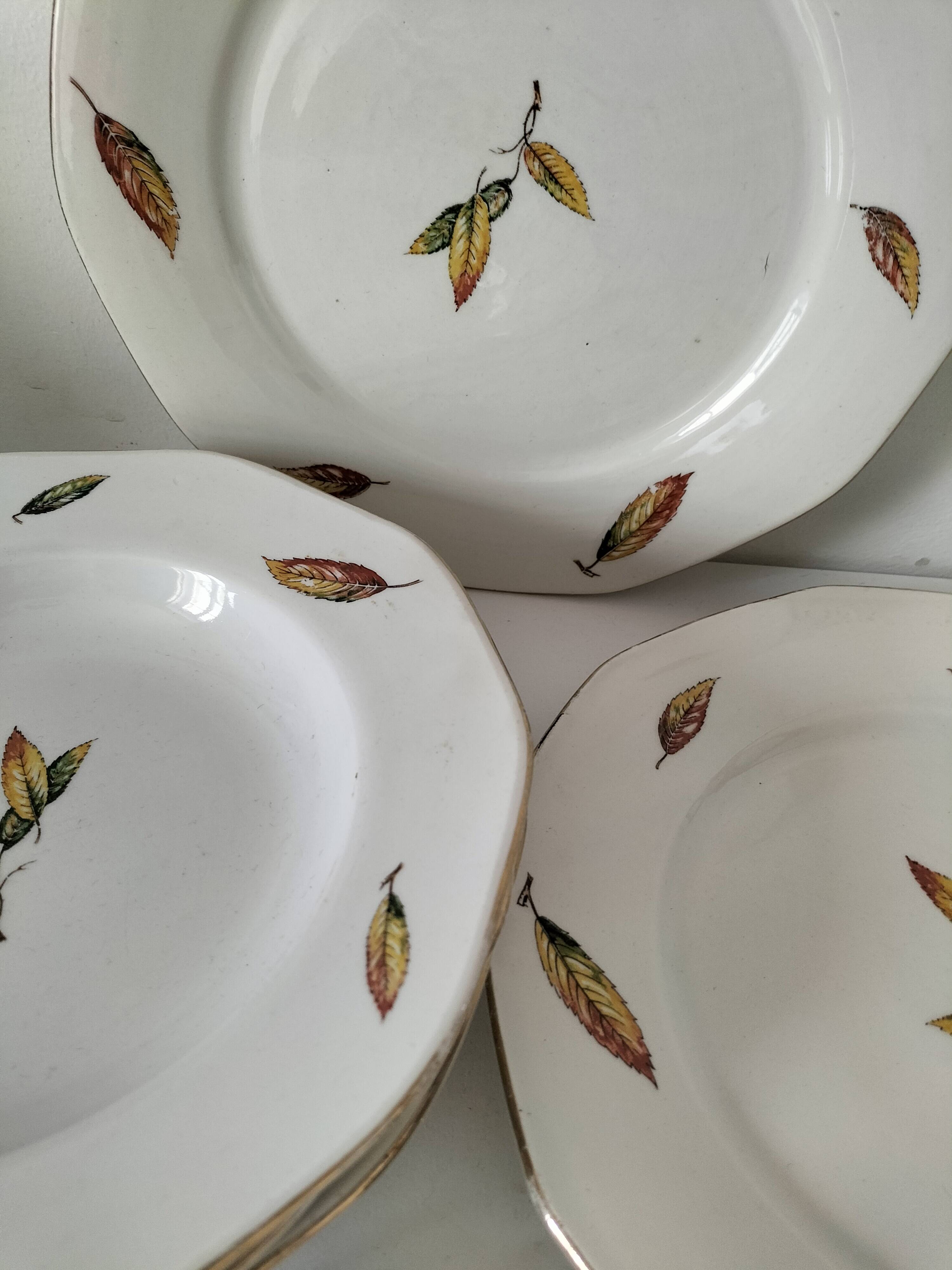 7 assiettes plates et creuses en faïence opaque Digoin Sarreguemines Nemours