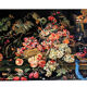 Binj. Oil on canvas XXth, still life signed and dated 04.96