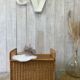 Wicker trunk/bench